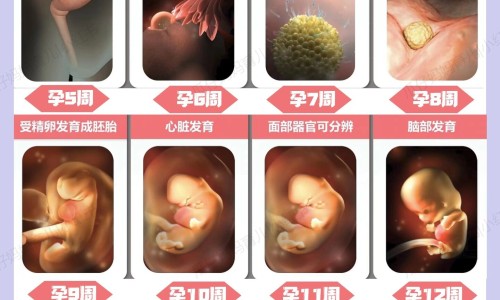 第六感颗粒避孕套特点-第6感颗粒,中国第六感颗粒和螺纹网站